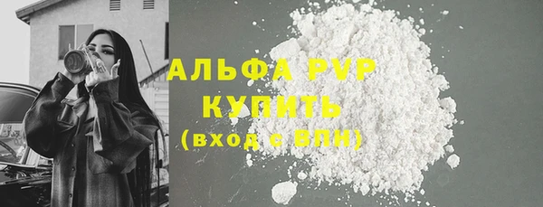 хмурый Бородино