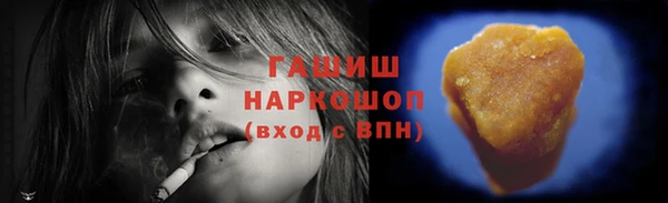 хмурый Бородино