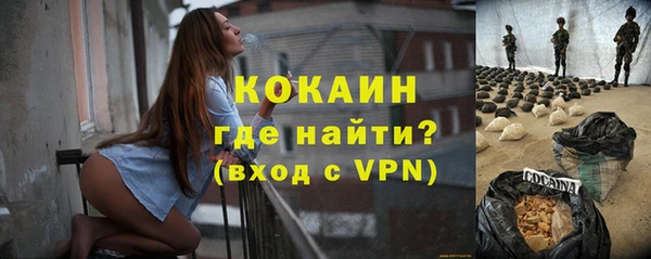 хмурый Бородино