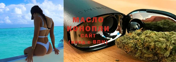 хмурый Бородино