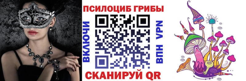 как найти Вышний Волочёк Галлюциногенные грибы Cubensis